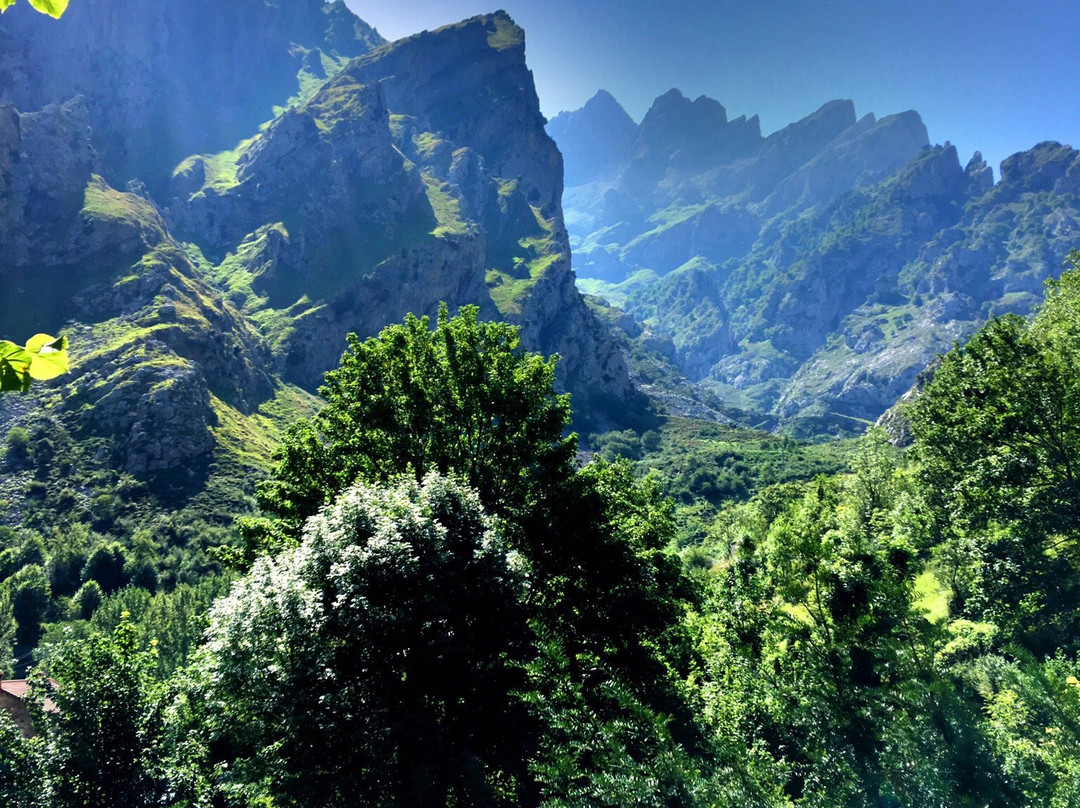 River Cares景点图片