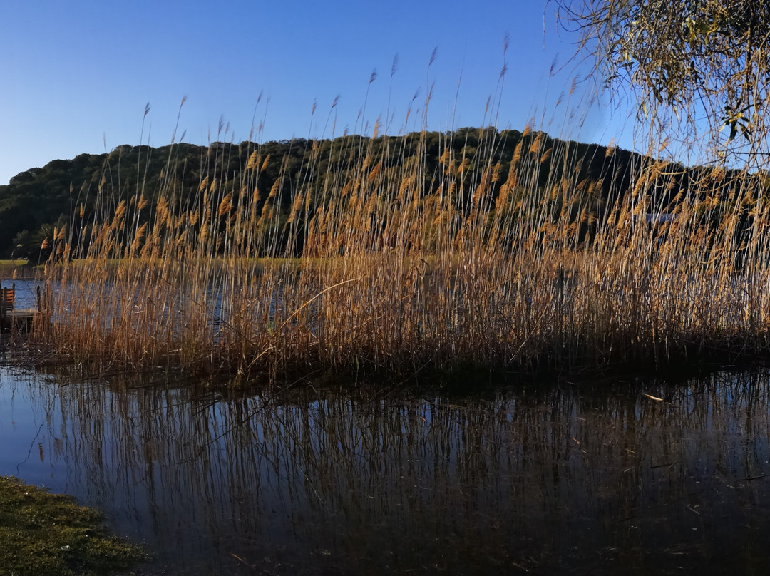 Wild Olive Guest Farm主图