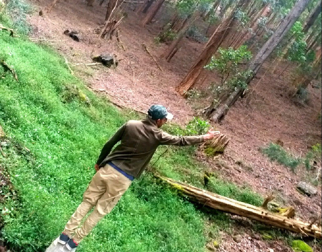 Hiking Bambarakanda to Horton Plains-Ohiya必去景点