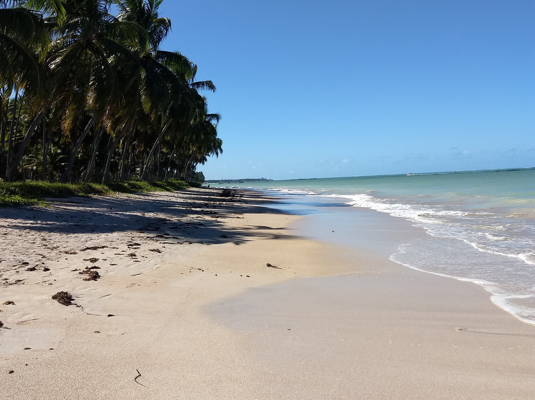 Mota Turismo-Maragogi必去景点