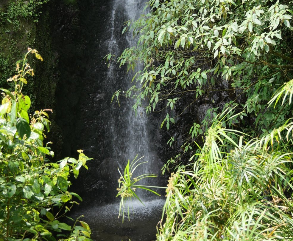 Parang Ijo Waterfalls景点图片