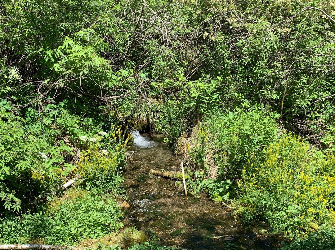 Spearfish Canyon景点图片