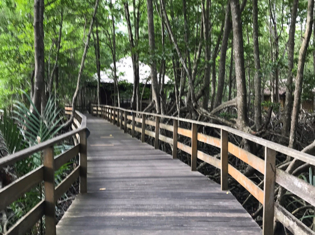 Sabandar Cowboy Town-斗亚兰必去景点