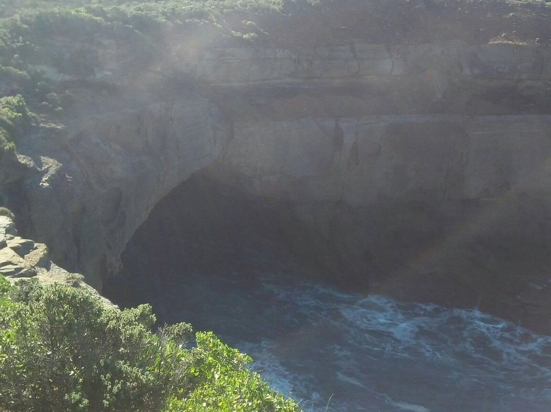 Munmorah State Conservation Area-Lake Munmorah必去景点