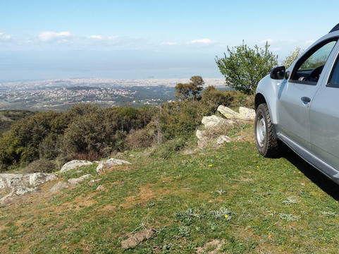 sarantis bachtsevanis