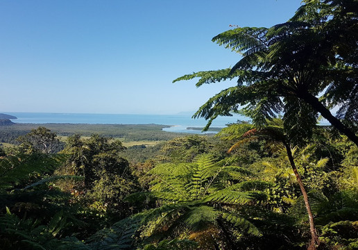 Cape Trib Connections - Day Tours-凯恩斯必去景点