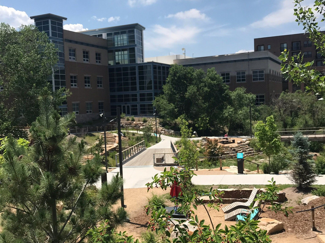 Festival Park-罗克堡必去景点