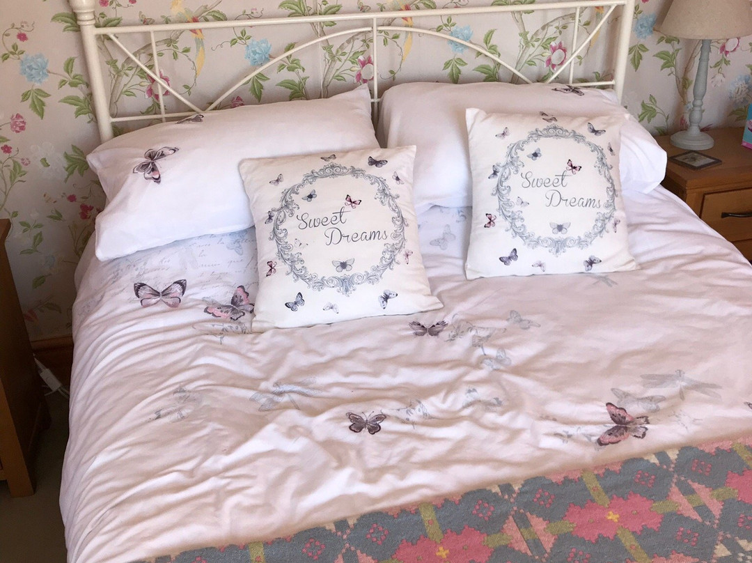 Noddfa House B&B主图