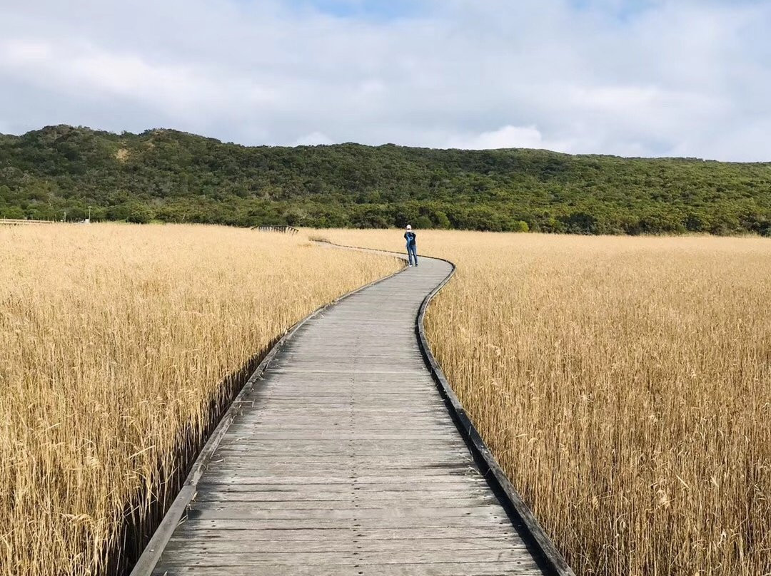 Princetown Wetlands Boardwalk景点图片