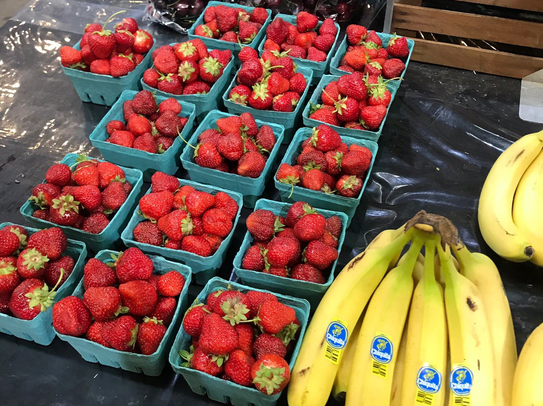 Abma's Farm-Wyckoff必去景点