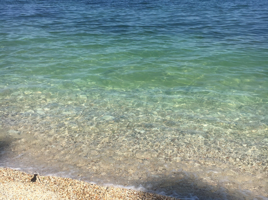 Hotel Ristorante Conchiglia Verde主图