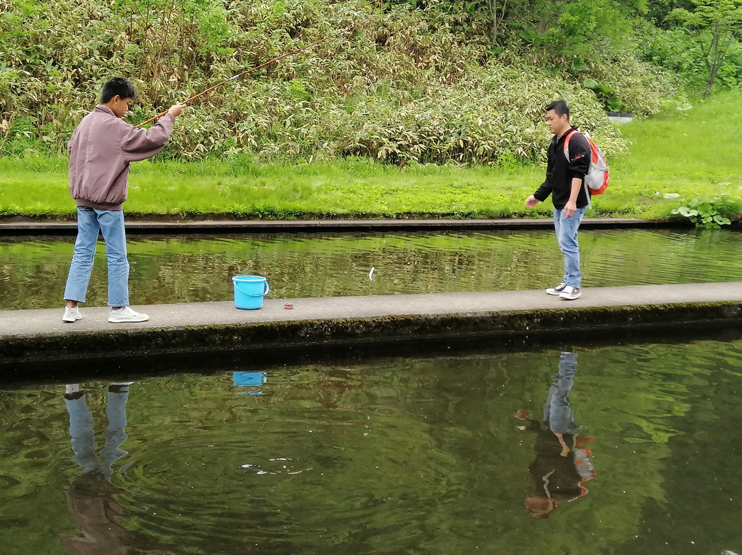 Taisetsu Fishing Pond-上川町必去景点