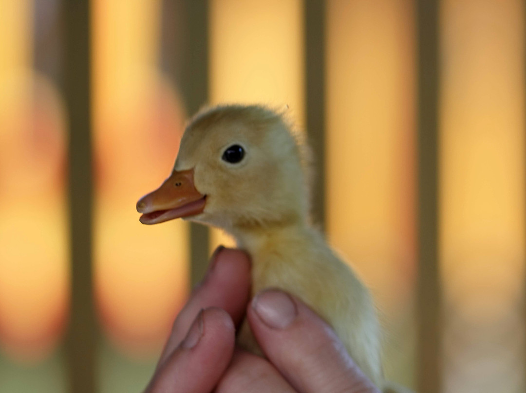 Zanzibar Bed and Breakfast主图