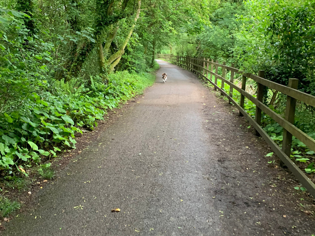 Mill House Caravan Park主图