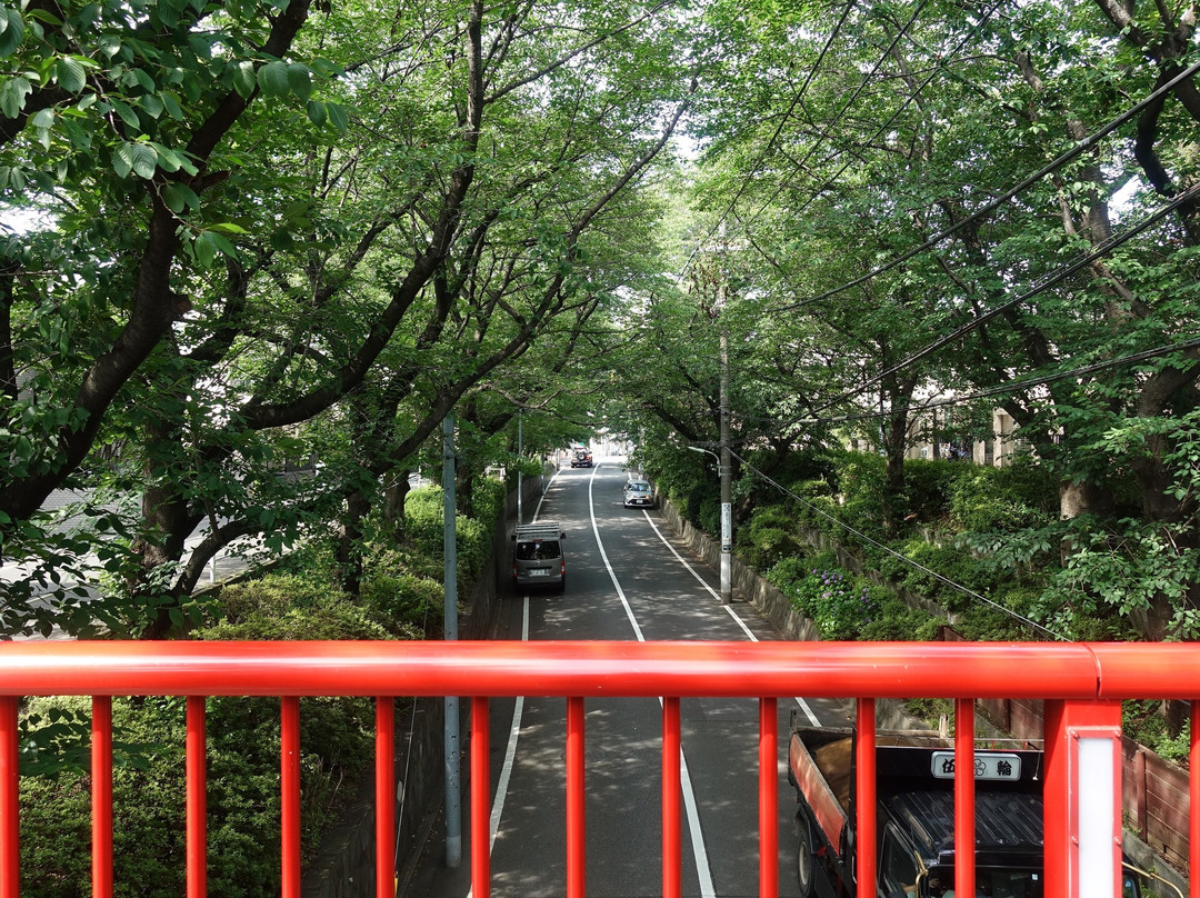 桜坂-大田区必去景点