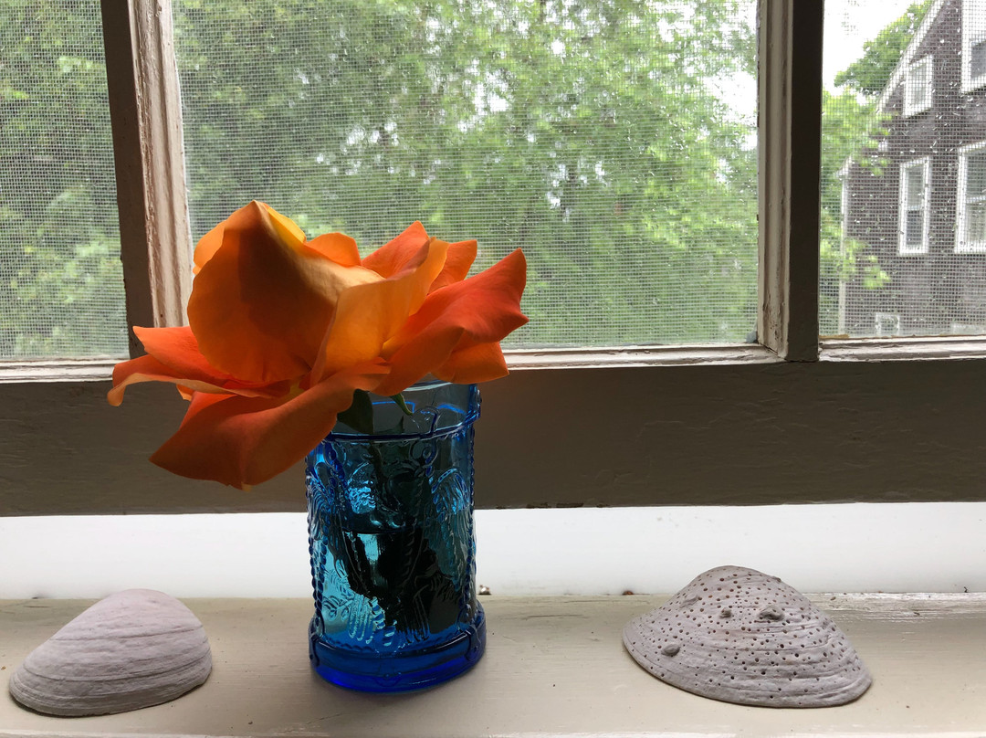 The Barnacle Inn主图