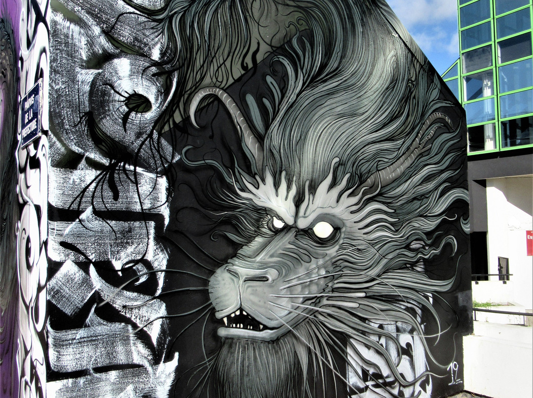 Fresque "Le singe"景点图片