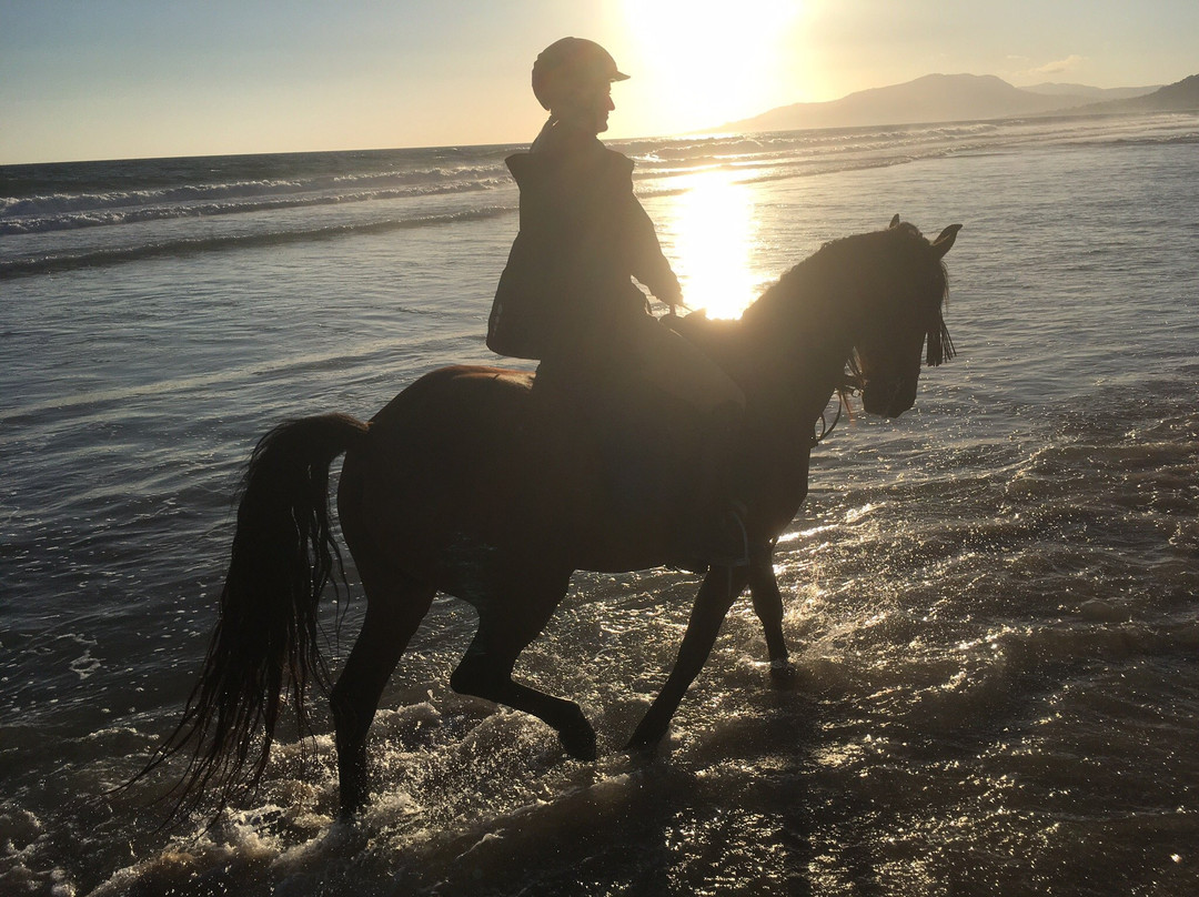 Aventura Ecuestre-塔里法必去景点