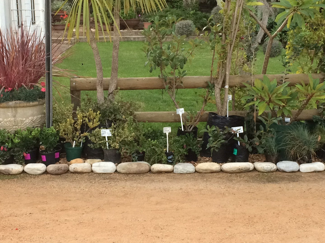 Heidelberg kwekery-Heidelberg必去景点