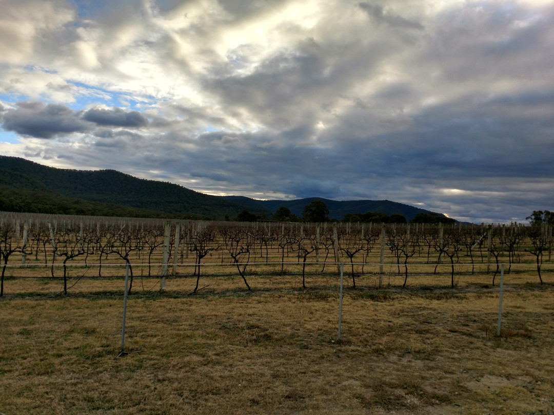 Running Horse Wines-Broke必去景点