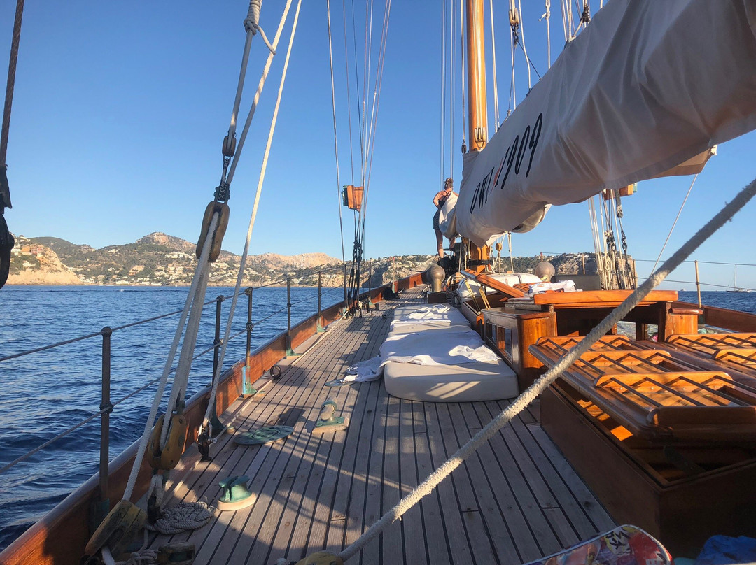 Owl 1909-Port d'Andratx必去景点