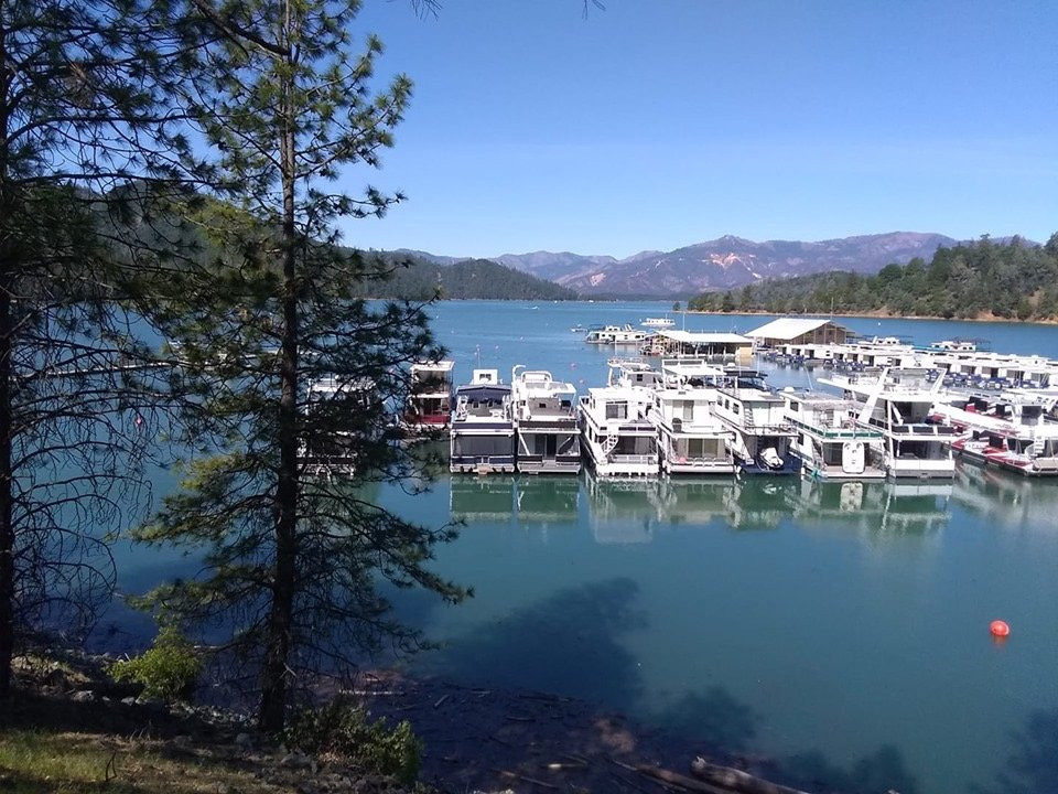 Bridge Bay At Shasta Lake主图
