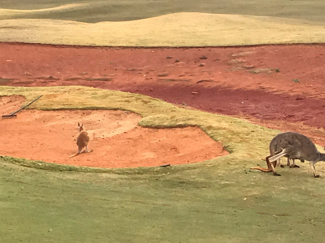 Kalgoorlie Golf Course-卡尔古利必去景点