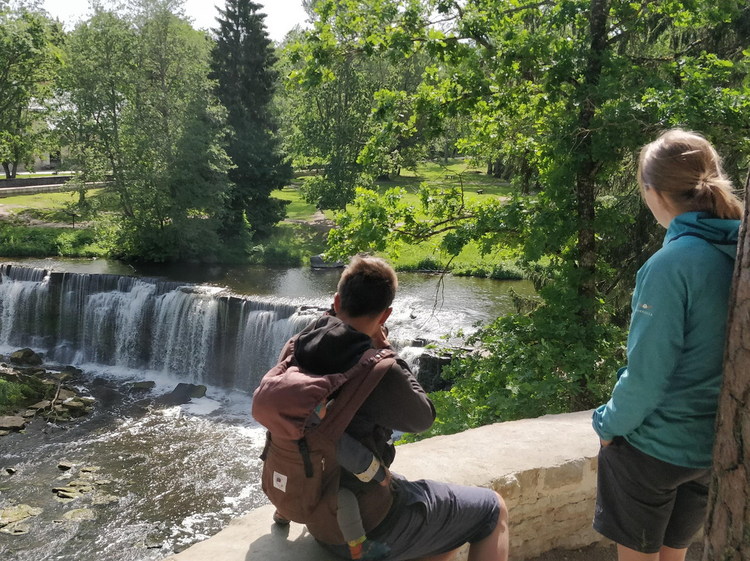 Private Tours in Estonia景点图片