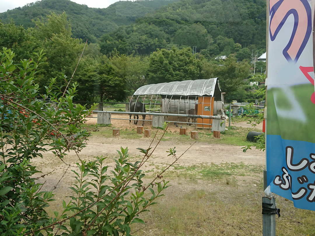 Shionoe-cho-高松市必去景点