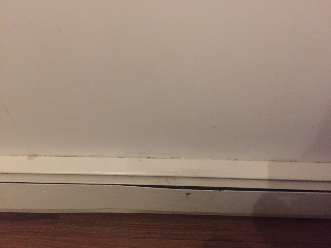 蓝鸟汽车旅馆主图