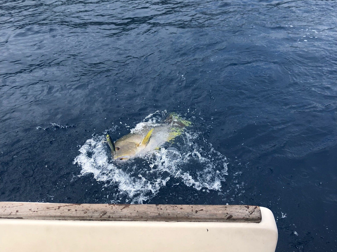 Tahiti Trip Fishing景点图片