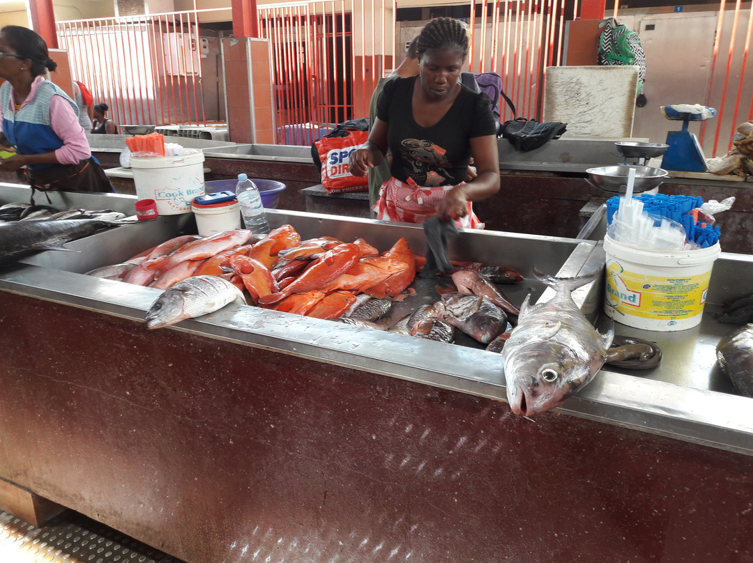 Mercado de Peixe-Sao Vicente必去景点