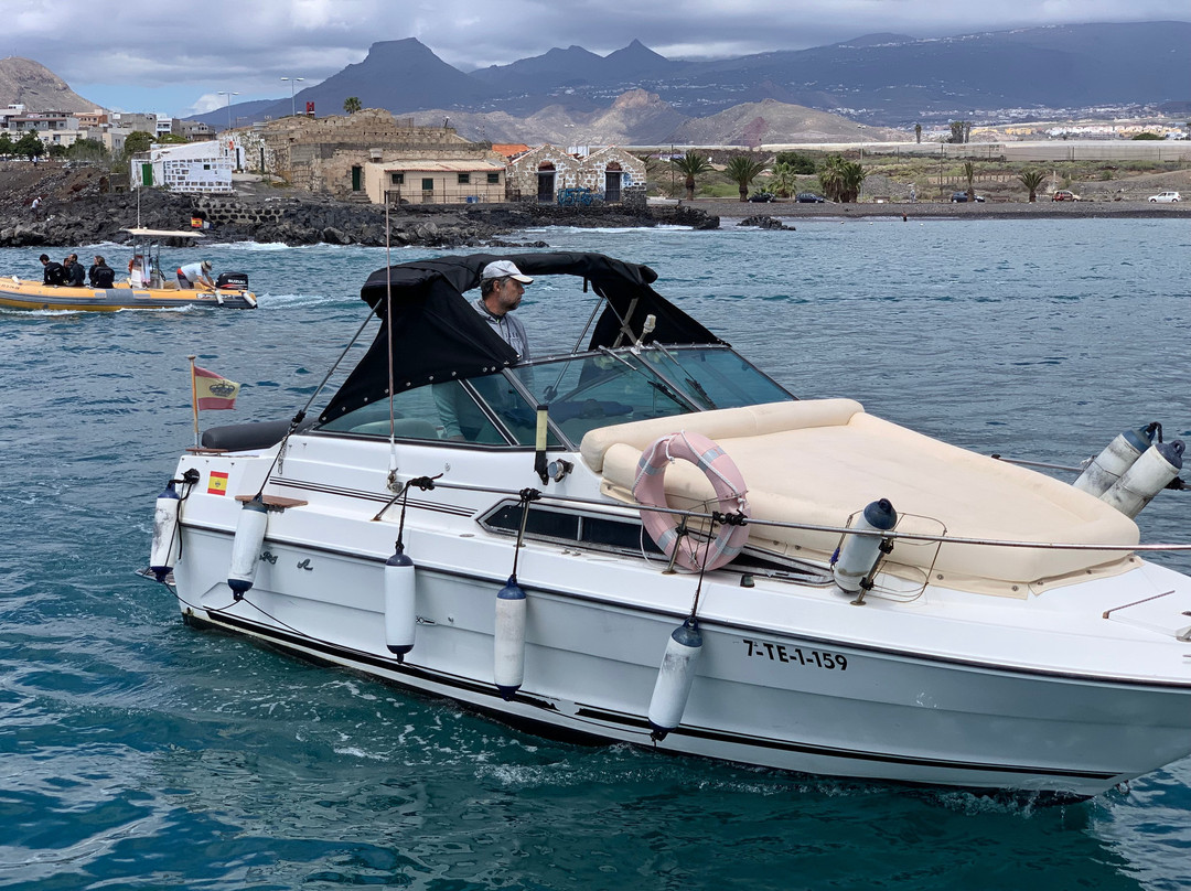 Tenerife Boats-奥德杰海岸必去景点
