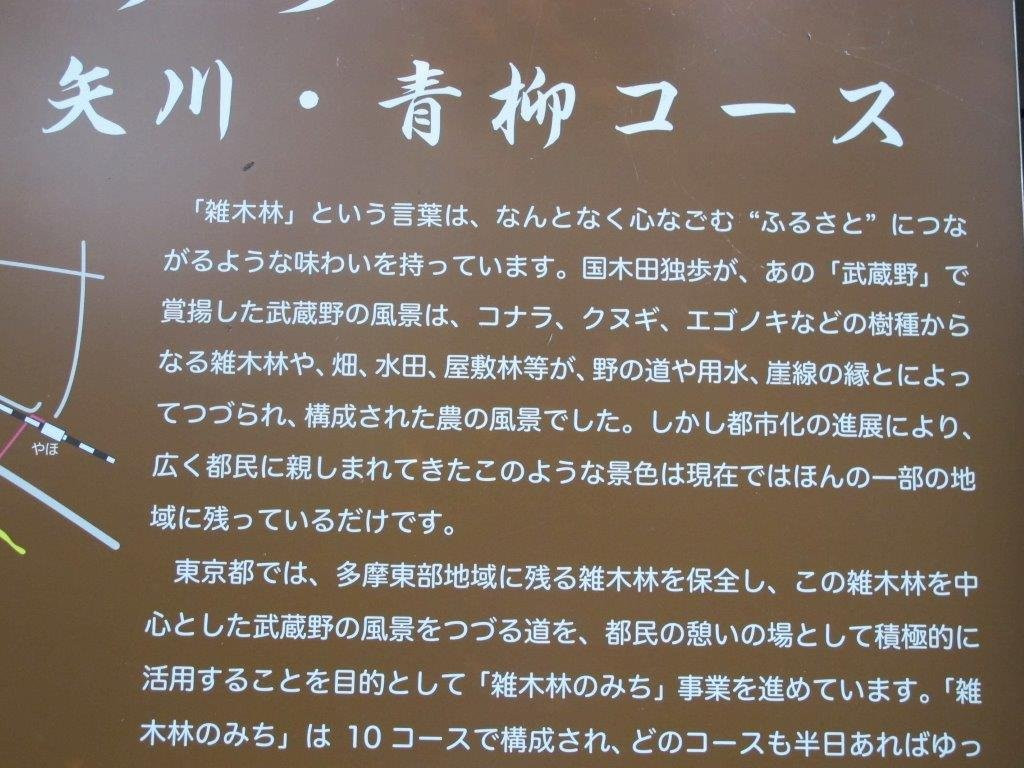 Yagawa Ryokuchi Park-立川市必去景点