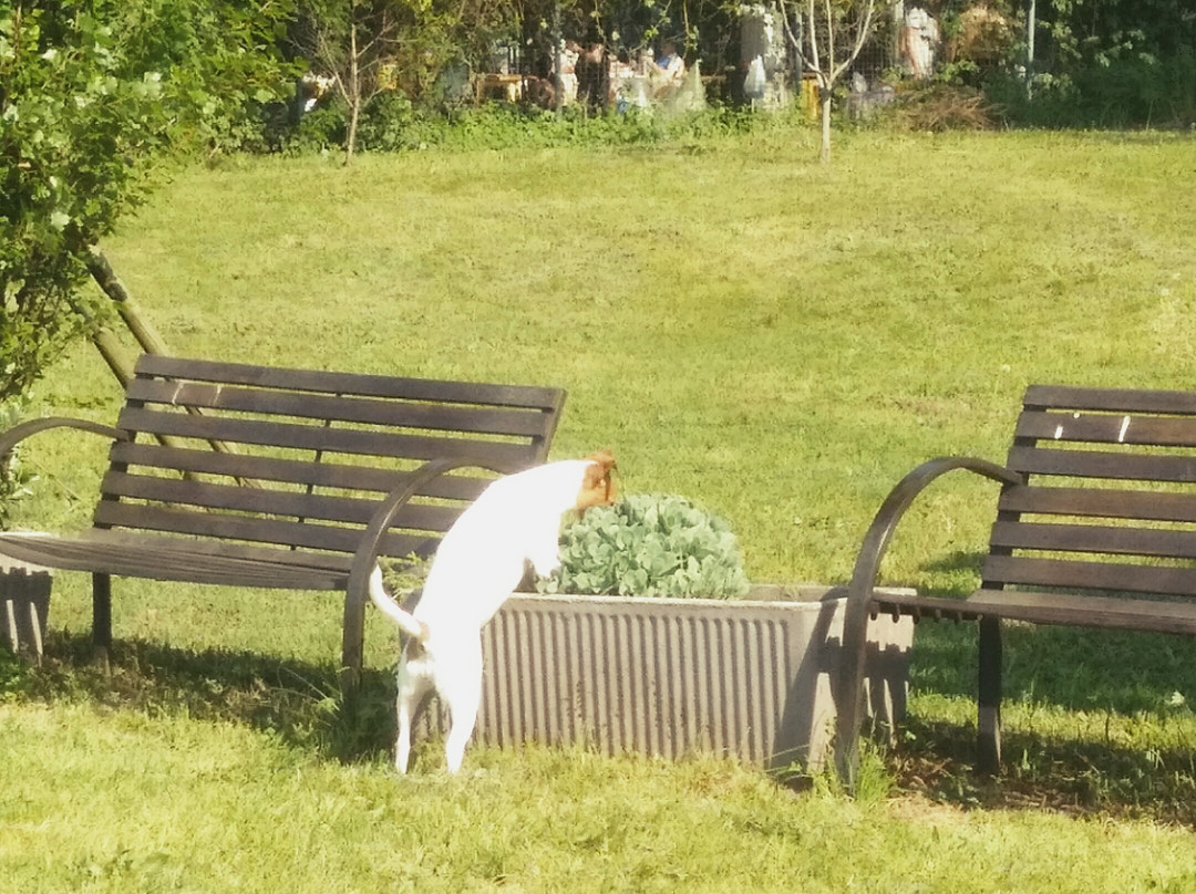 Parco della Boscherona-蒙扎必去景点