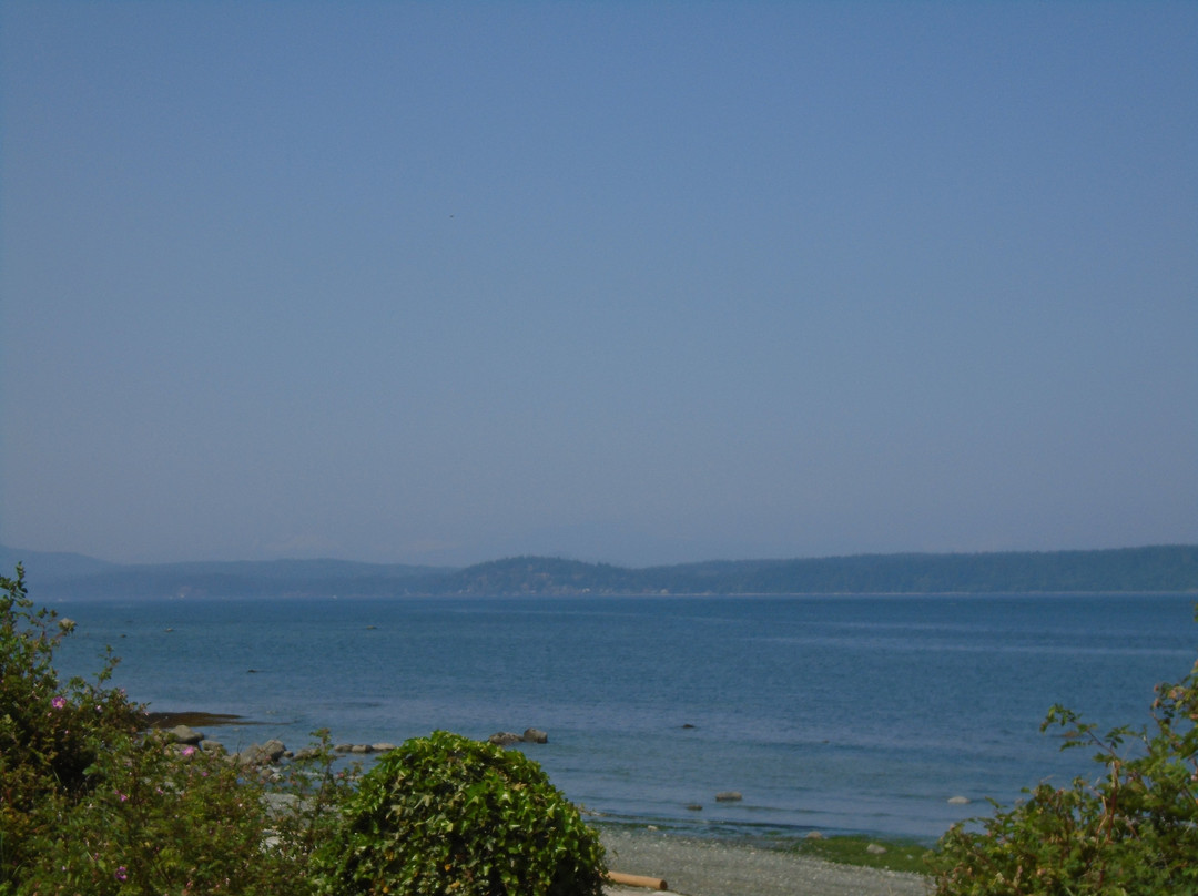 Rotary Sea Walk景点图片