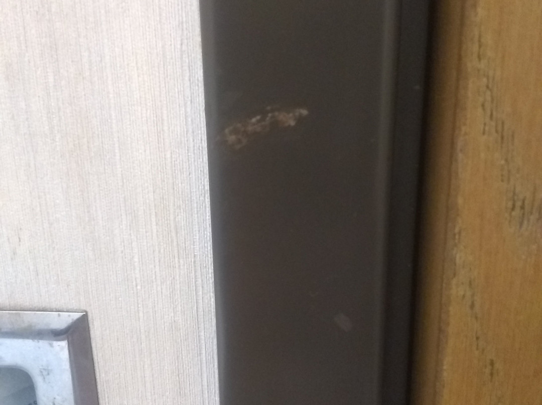 Baymont I S Zanesville主图