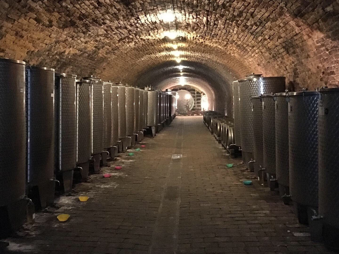 Podrum Bajilo (Wine Cellar)景点图片