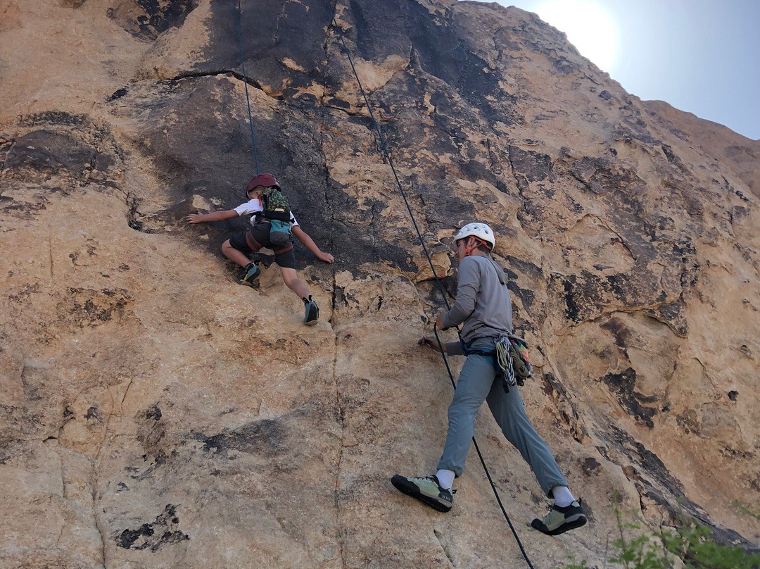 Mojave Guides-约书亚树必去景点