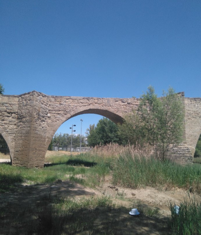 Puente Romanico de Capella景点图片
