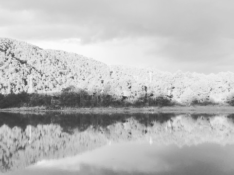 Tea Slowly-大理市必去景点