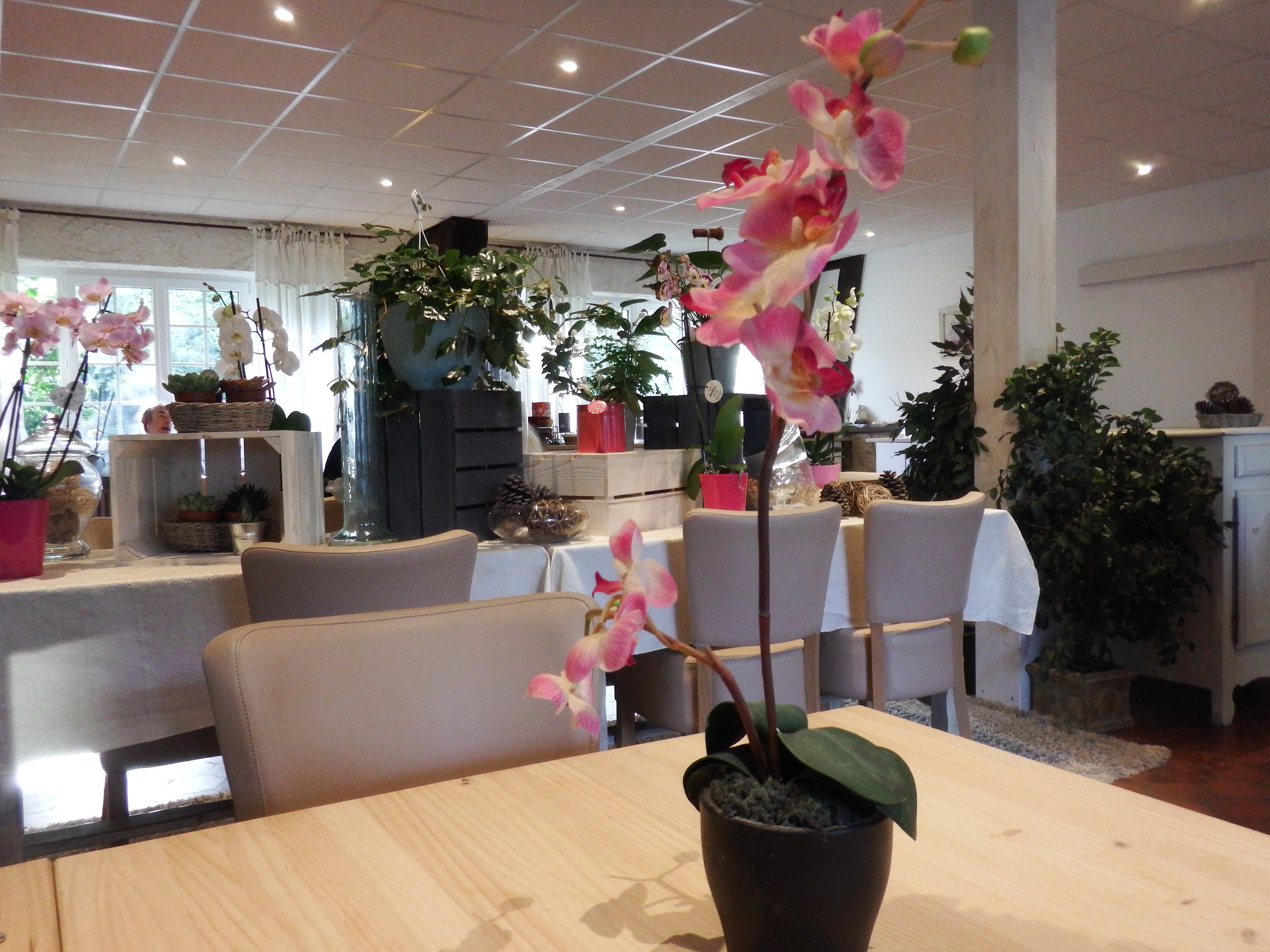 Hotel Les Pins-餐饮