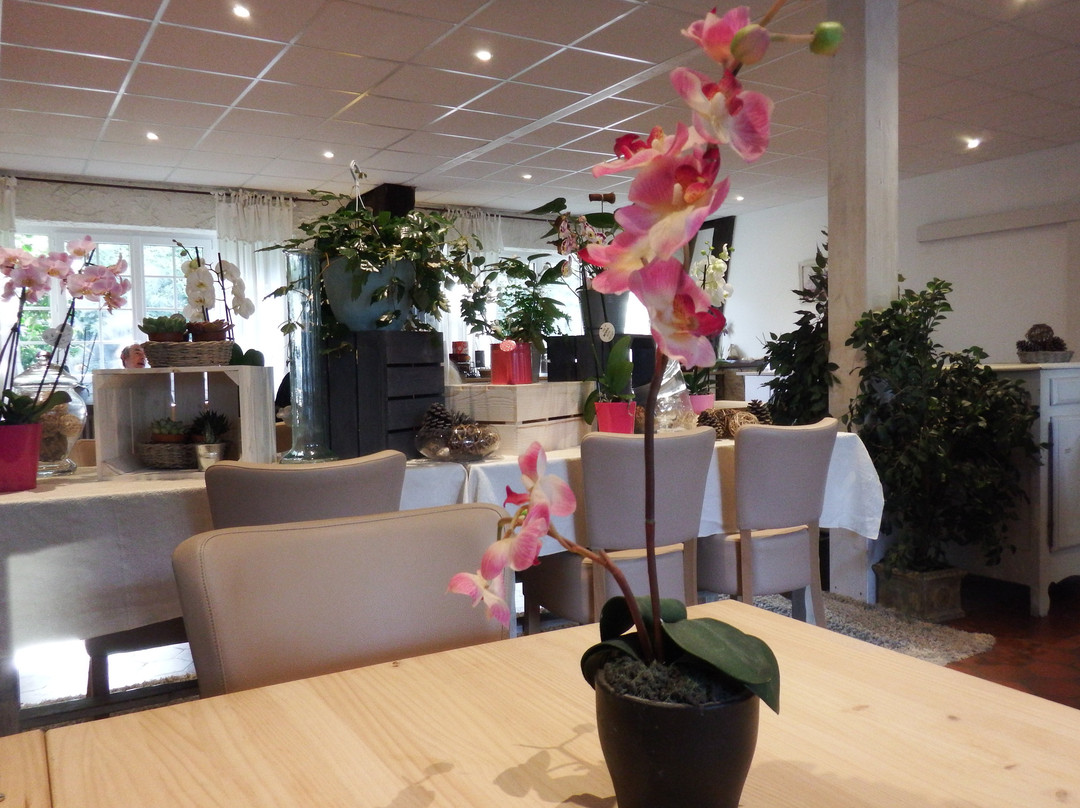 Hotel Les Pins主图