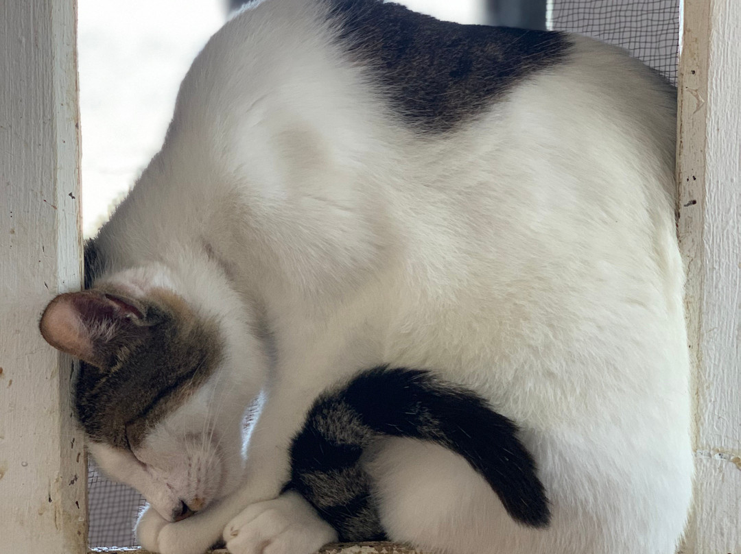 SFT - Tangier Wildlife Sanctuary-丹吉尔必去景点