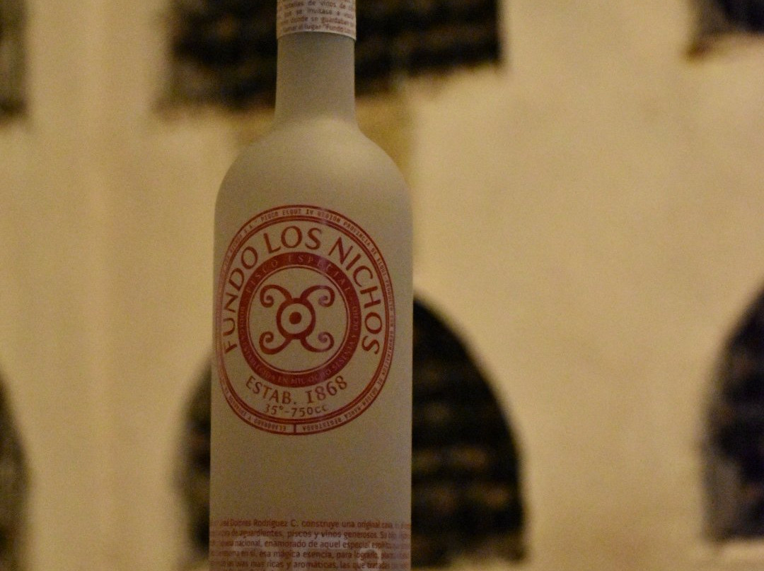 Fundo Los Nichos-Pisco Elqui必去景点