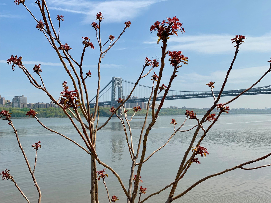 Ross Dock Picnic Area-利堡必去景点