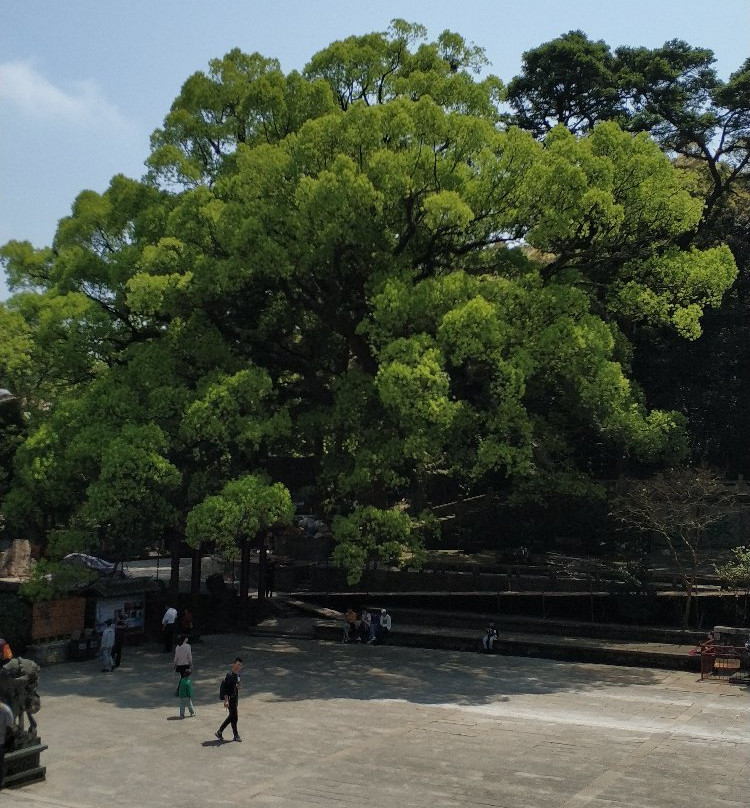 鼓山涌泉寺景点图片