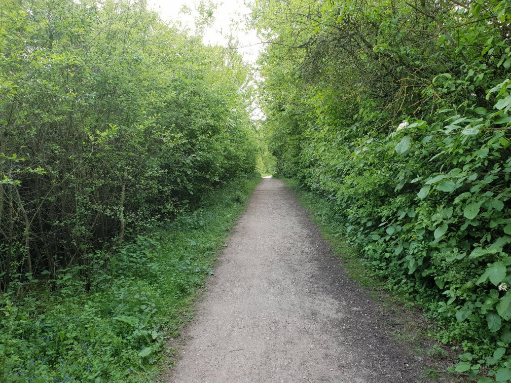 The Nickey Line Rail walk景点图片