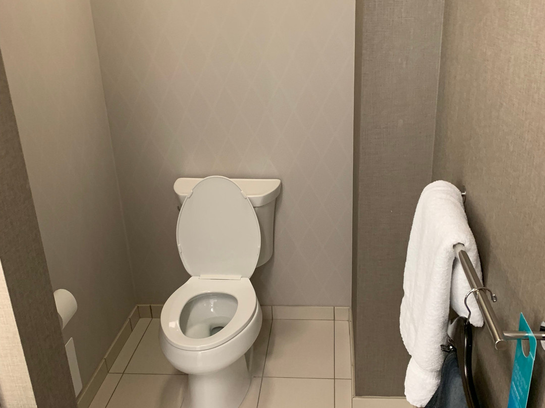 Springhill Suites by Marriott Chattanooga North/Ooltewah主图