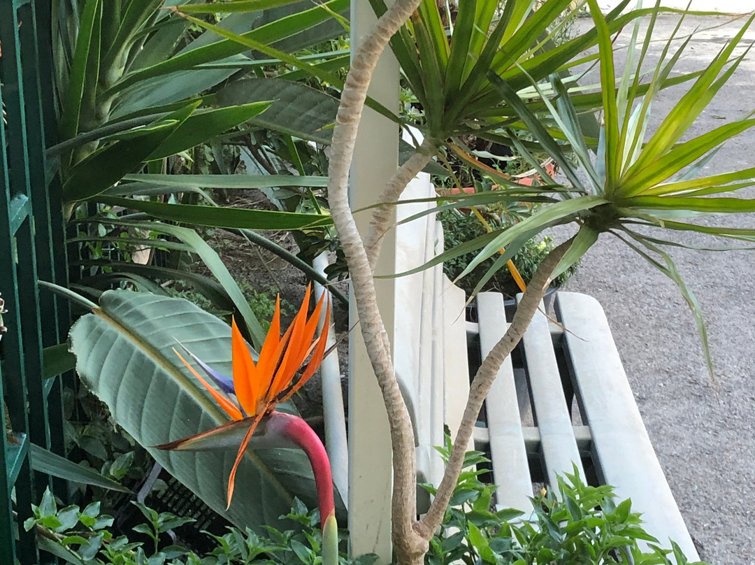 Hospedaria Sao Bras主图